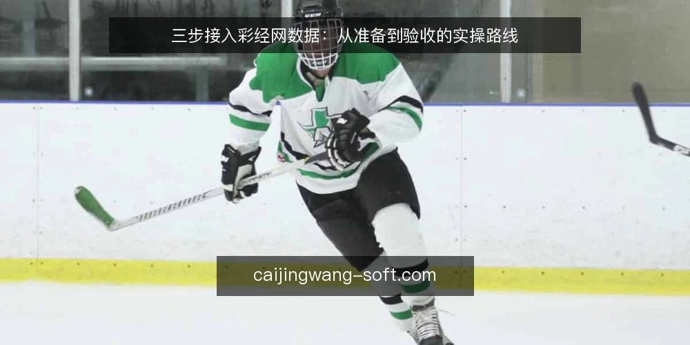 三步接入彩经网数据:从准备到验收的实操路线 — 接入前准备:明确需求与合规边界 配图
