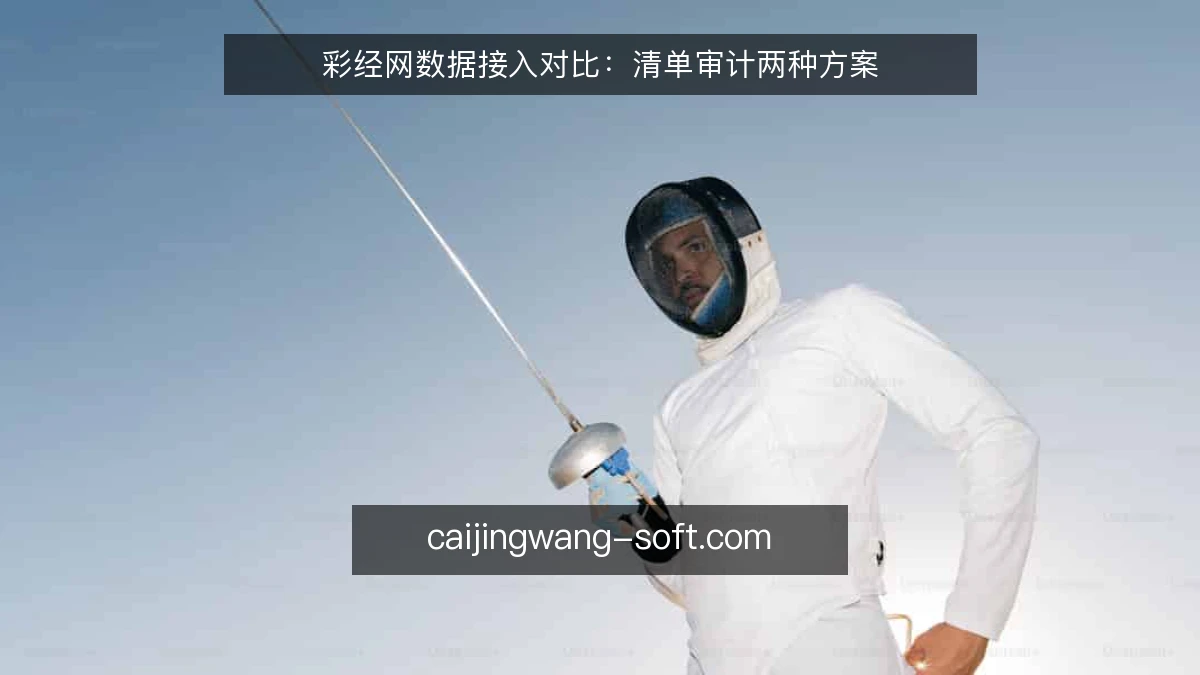 彩经网数据接入对比：清单审计两种方案