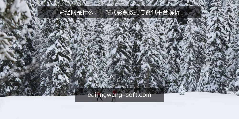 彩经网是什么:一站式彩票数据与资讯平台解析 — 操作困惑:为什么需要先弄清彩经网是什么 配图