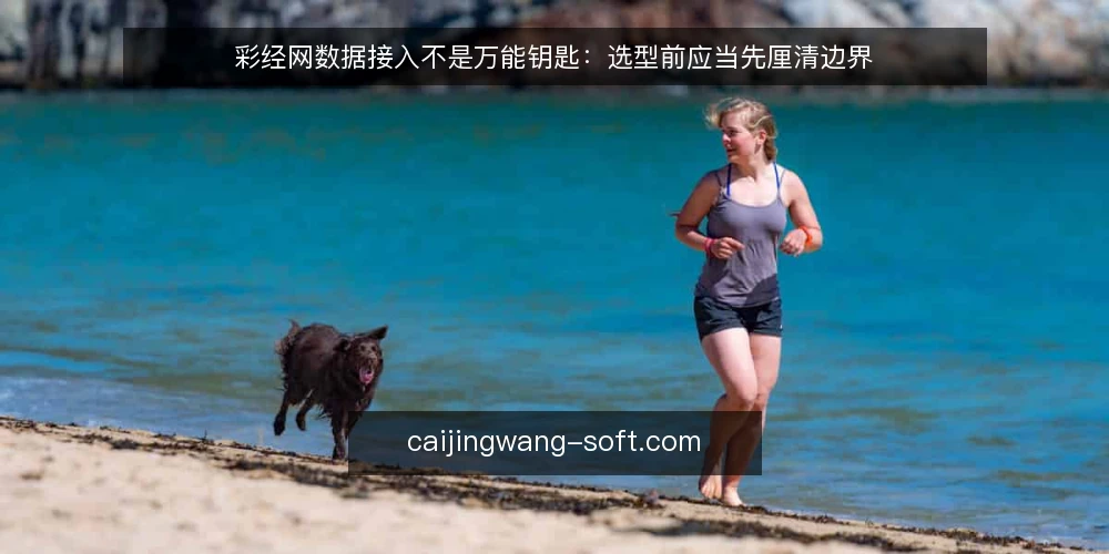 彩经网数据接入不是万能钥匙：选型前应当先厘清边界 — 需求定义：先问‘要解决什么’而非‘能拿到什么’ 配图