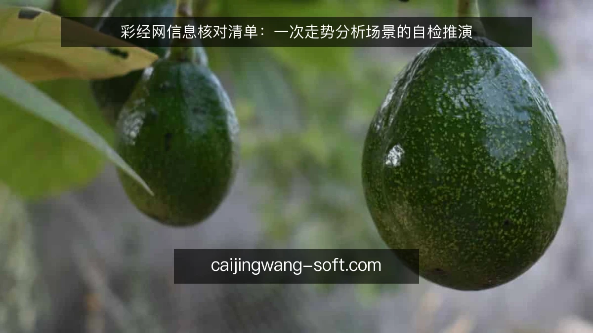 彩经网信息核对清单:一次走势分析场景的自检推演